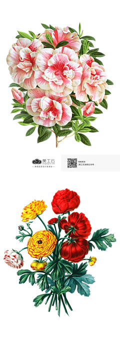 陈稳稳111采集到AE