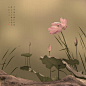 2016生态篇(38)-秀色-生态摄影-POCO摄影作品展示