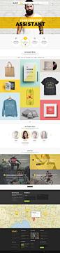 19+ Best Creative Portfolio WordPress Themes