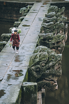 臧锦采集到场景