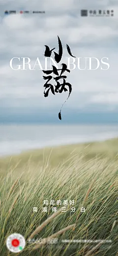 【仙图网】海报 小满 芒种 夏至|1009718 