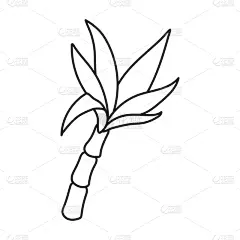 叶子,甘蔗,计算机图标,农业,食品,植物群,草,高粱,农场,植物