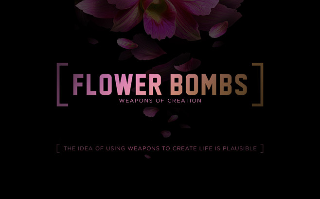 FLOWER BOMBS / Weapo...