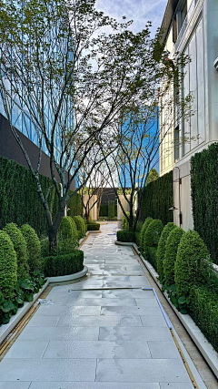 万宗吉采集到种植idea