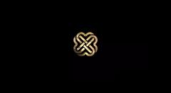 木子LeeDong采集到VI类