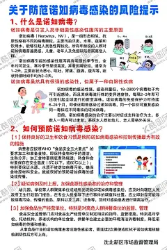 风险提示 【酷图网】诺如病毒,海报,宣传单,风险提示,公共卫生