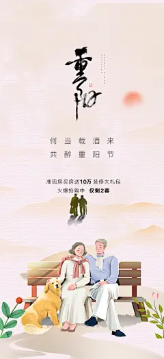 节日重阳节敬老爱老宣传活动海报