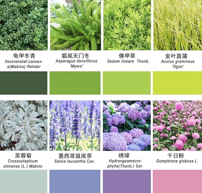 越秀·珠实 | 天悦海湾

花境色彩的设...