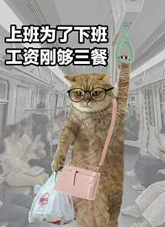 &lt;表情包&gt;‖组图｜上班不就是为了下班吗 - 小红书