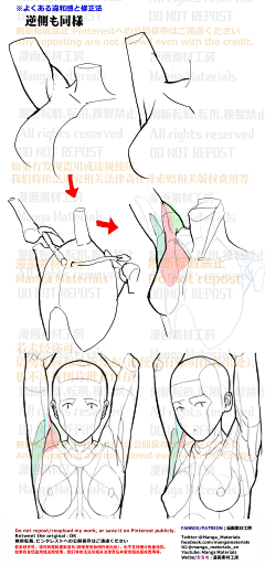 白丁123456789采集到关节，结构