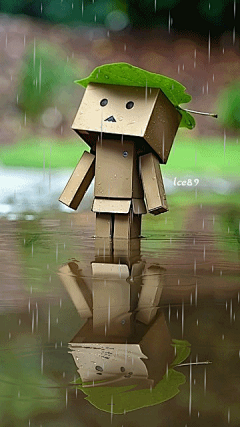 独活的雨天采集到雨