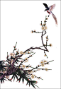 工笔线描素材（花鸟）(35P) - 端木秀禾