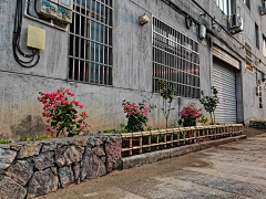 1iZgOU6v采集到美丽乡村