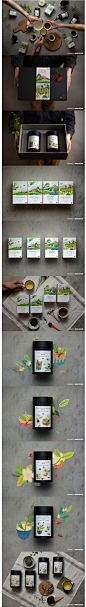 豐茶包装设计欣赏/茶叶包装设计/茶叶包装插画设计,茶文化，台湾茶叶包装设计欣赏，包装设计插图设计-来源于品牌设计网