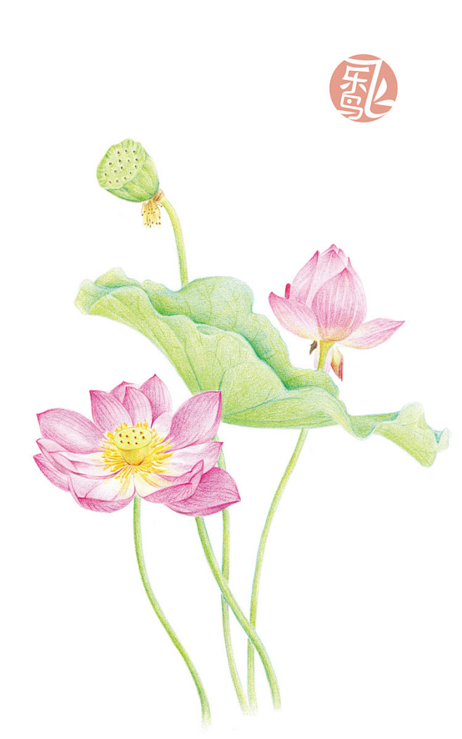 #画# #花# #清新# #色彩# #素...