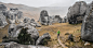 man-running-trail-new-zealand-castle-hill.adapt.1900.1.jpg (1900×968)