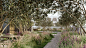 LDESIGN : landscape 
architecture company