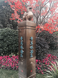 20000justdoit采集到泰禾上海院子