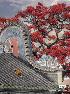 mimimamo采集到建筑