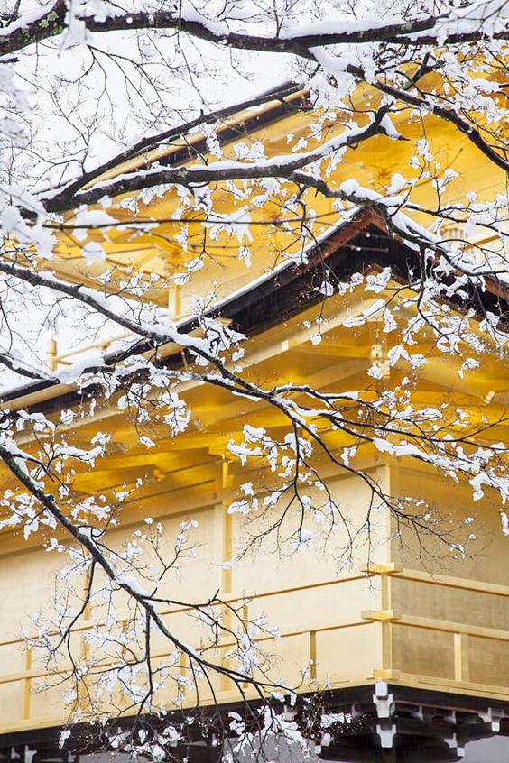 Kinkakuji, Kyoto, Ja...