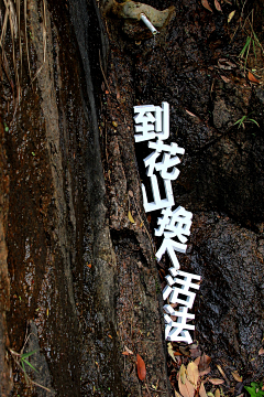杭州小米设计机构采集到立体字