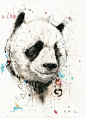 Panda Drawing <a class="pintag searchlink" data-query="%23panda" data-type="hashtag" href="/search/?q=%23panda&rs=hashtag" title="#panda search Pinterest">#panda</a> <a class="pinta