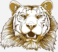 卡通老虎免抠素材_新图网 https://ixintu.com 动物 动物插画 卡通动物 矢量动物 老虎