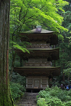 梦林子采集到场景素材