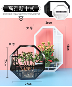 龙龙176号采集到未分类