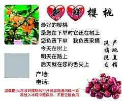 樱桃  - 源文件下载【酷图网】樱桃园,樱桃,新鲜,无添加,樱桃节,采摘樱桃,樱桃海报,美味樱桃,樱桃名片,樱桃不干胶