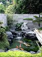 60平米的生态鱼池小院，简洁美观！_2_肥猫花园｜庭院设计_来自小红书网页版