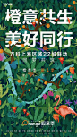 橙会玩！滚过22城，甜到融化你