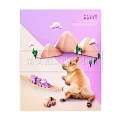 可爱趣味狗狗法斗太低宠物摄影护理写真产品海报VI宣传PS设计素材-淘宝网
