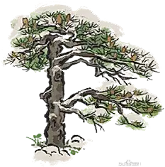 【图片】【V173版本】更新内容爆料，欢迎水贴讨论【江南客栈吧】_百度贴吧