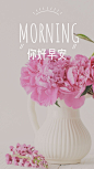 你好早安早安问候手机海报