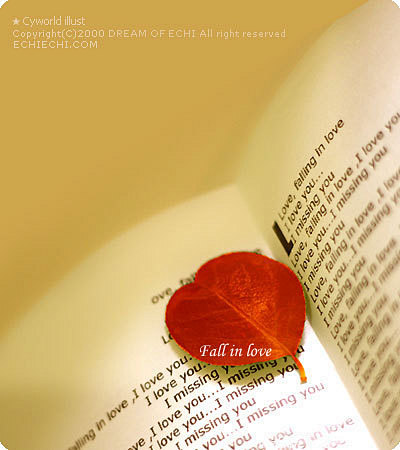 红叶、思念、书