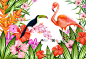 [美工云]-Cartoon-Flower-Bird卡通植物鲜花鸟类矢量EPS下载_PNG：