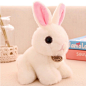 正版可爱兔兔毛绒玩具迷你仿真兔子小白兔公仔儿童生日礼物送女生-淘宝网