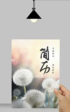 小清新简历模板