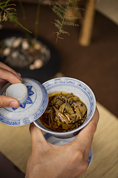 一只迷路的鹿采集到茶叶