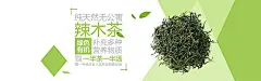 绿色,茶,有机,海报banner,文艺,小清新,简约图库,png图片,花瓣,图片素材,背景素材,3537503北坤人素材