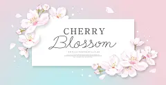 粉色春季桃花节春天樱花网页横幅海报PSD模板素材
