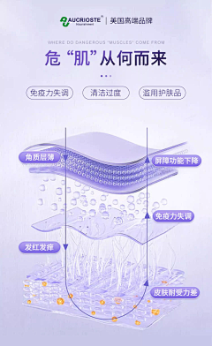 zou是邹不是走采集到【皮肤】结构