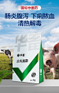 华畜兽药白头翁散兽用止痢散大肠杆菌猪用拉稀止痢仔猪黄白痢中药-tmall.com天猫
