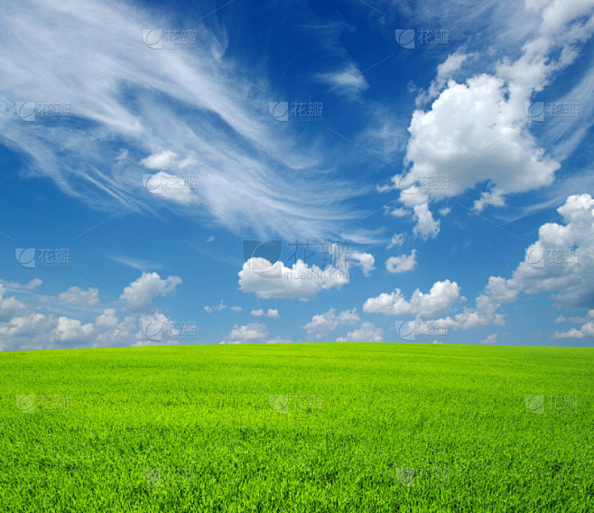 田地,天空,草地,水平画幅,绿色,地形,无人,蓝色,草坪,户外