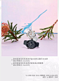 春意萌动，腕间生花