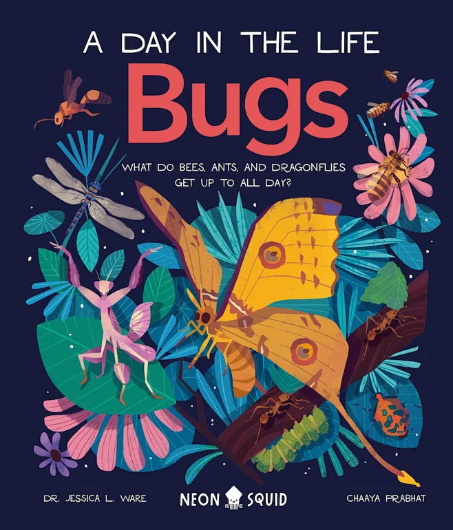 animal-illustration-insect-kidlit-art-children-illustration-children-s