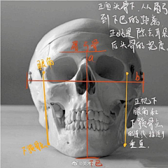 duke~采集到学术类