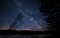 Trees Under Starry Night