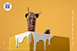 乳果说 + 鹿马影像 创意奶茶饮品摄影摄影设计